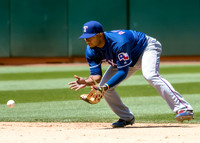 Texas Rangers SS Elvis Andrus.